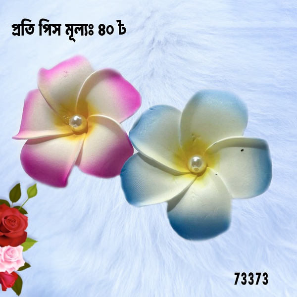 Hair Clip
